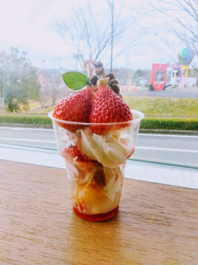 【岡山・倉敷発】 いちごに恋するミステリーツアー　日帰り2