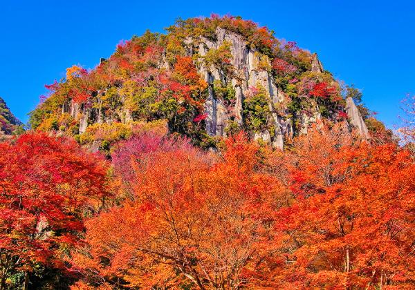 【福岡発着】ぐるっと耶馬渓紅葉絵巻と洞門パティオ農家のごちそう野菜ランチバイキング1