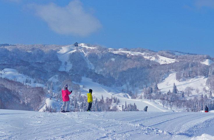 [新宿発]【往復バスで行く】朝発「ホテルグリーンプラザ上越」 1泊2日【滞在中リフト入場券付】】！レンタルセット＆ウェア付【夕食・翌朝食付】1