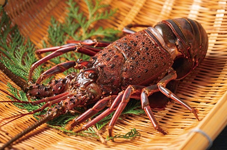 【大分・別府発着】イセエビ×カニ×海鮮バーベキュー食べ尽くし in門司 日帰り1