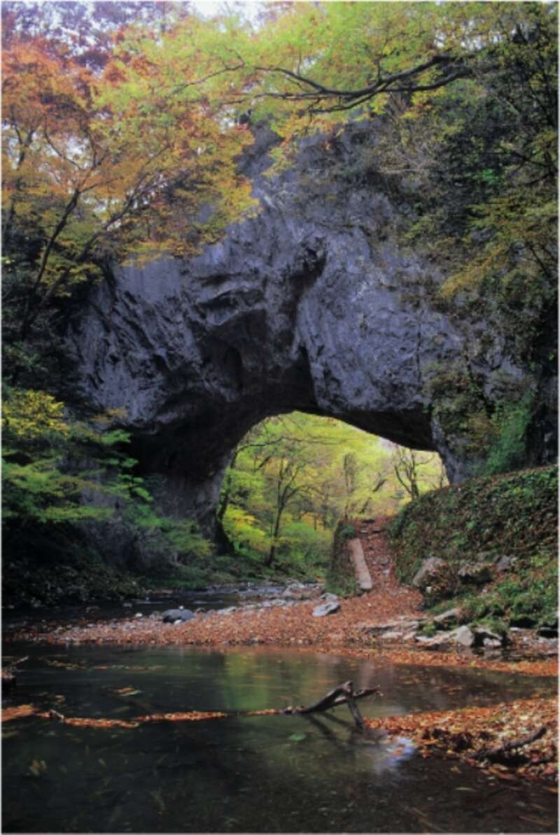 【JR広島駅発】紅葉の帝釈峡・神龍湖クルーズと秋の味覚・りんご狩り　日帰り3