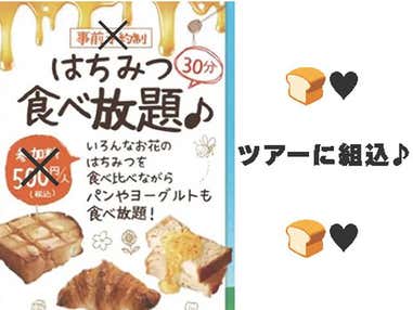 ■一面に咲く約100万本の『南光ひまわり畑』鑑賞🌻＆はちみつ食べ比べ🍯 フルーツW狩り✌ブルーベリー狩り＆桃の名産地・岡山で旬の桃狩り🍑