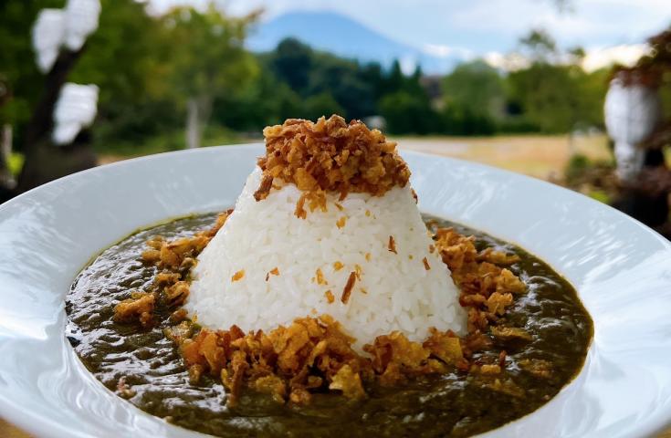 [品川/新宿LOVE発]富士河口湖絶景日帰りツアー！いろんな角度から富士山の感動の景色を望む撮影ポイント巡りツアー！昼食は富士山ヴィーガンカレーをご堪能！(英ガイド付)3