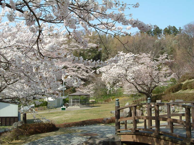 【山口宇部空港発】 春色の佐渡ヶ島八景たっぷり周遊４日間1