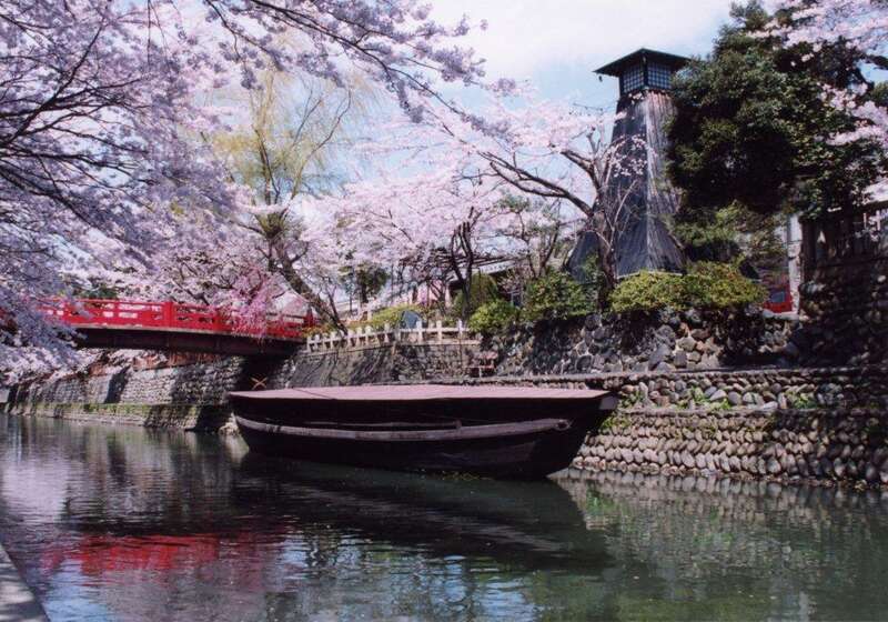 【富山県内発】 すごろく季節の花めぐり4月　第1回さくら　大垣城の桜と相川水辺公園のこいのぼり3