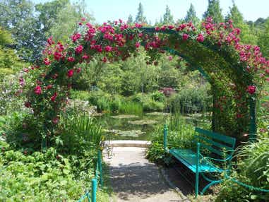【愛媛県内発】 北川村「モネの庭」マルモッタンと牧野植物園　初夏の高知ガーデンめぐり 日帰り