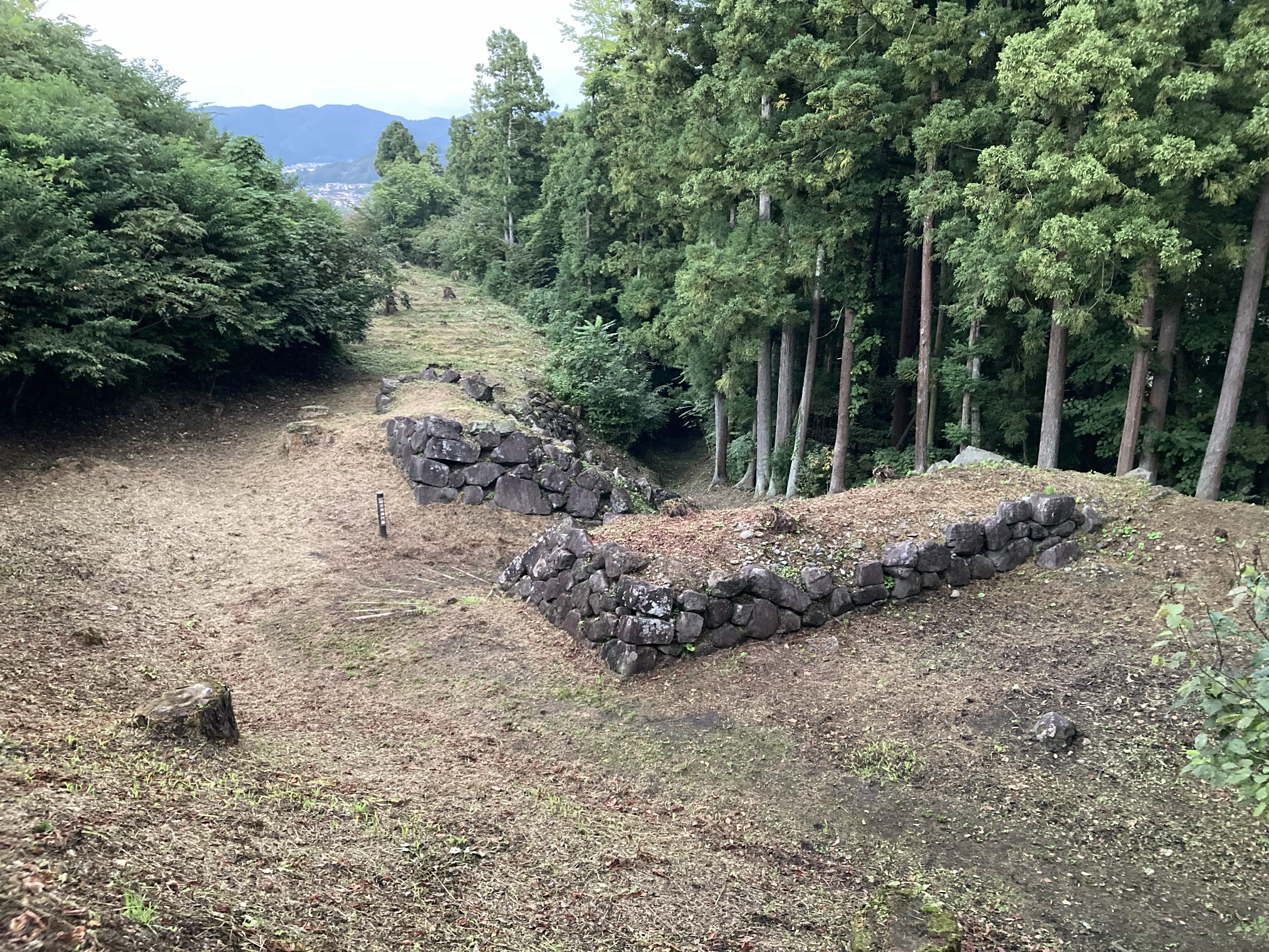 【現地　集合・解散】 《歴史探訪》北いわて・お城めぐり ～九戸城まつり2026～（２日間）3