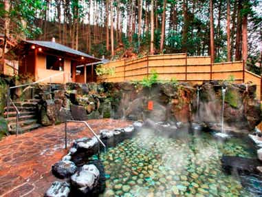 【東京駅・品川駅・新横浜駅発】 世界遺産　吉野千本桜と 湯村温泉・日本三名泉の有馬温泉　3日間