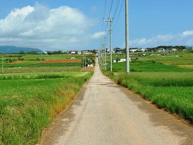 ■2日目 小浜島島内観光コース(食事なし)付き 石垣島・竹富島・西表島ホテルチョイスプラン 2泊3日