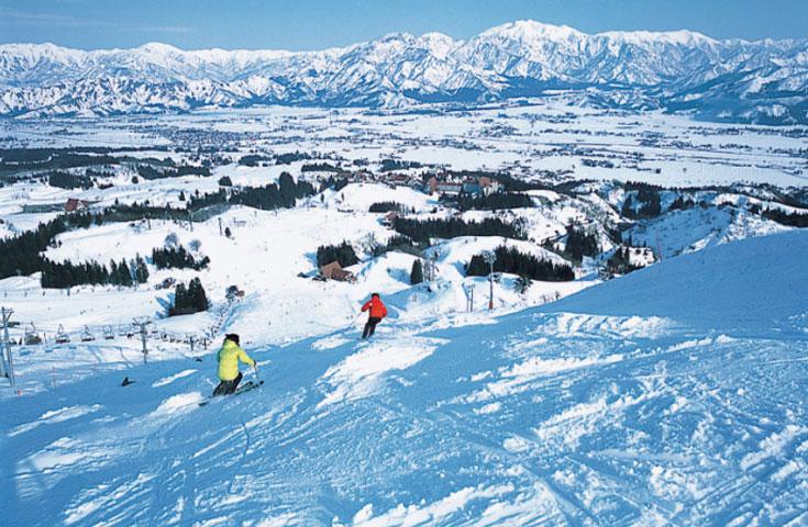 [新宿発]【往復バスで行く】朝発「ホテルグリーンプラザ上越」 2泊3日【1日リフト入場券2枚付】【翌朝食付】1