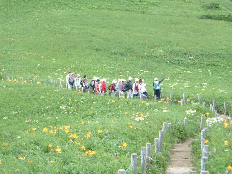 【群馬・栃木県内発】 往復・稚内空港利用！花のベストシーズンに行く利尻・礼文・稚内３日間　花ガイドとめぐる花の楽園（利尻・礼文島の温泉に２泊）2
