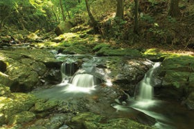 加古川・三木発
赤目四十八滝と長坂山