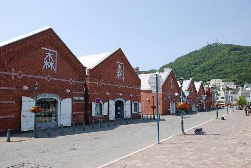 【岩手県・新幹線駅発】 青森ねぶた祭と函館港まつり花火大会・盛岡伝統さんさ踊り（3日間）2