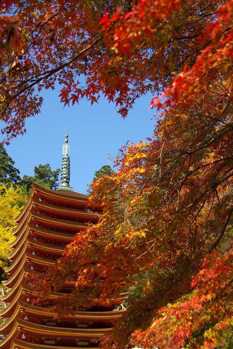 【JR福山駅発】京都・奈良６つの紅葉めぐり ２日間3