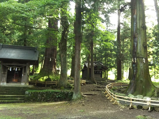 ■【山梨】ざっ！ゴールデンコンビで大盤振舞♪　海鮮浜焼き＆いちご狩り食べ放題！世界遺産にクロワッサンの詰め放題！どどーんと詰め込み満腹満足バスツアー！2