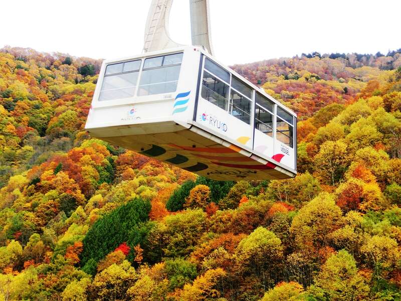 【富山県内発】 【読売新聞愛読者謝恩旅行】北志賀高原の紅葉の空中散歩！世界最大級のロープウェイ ＆ SORAへ登る螺旋階段！SORA terrace（ソラテラス）　と　シャインマスカット狩り体験　日帰り2