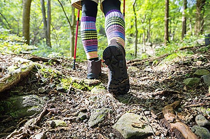 登山学校第4回＜東京発＞【川崎添乗員指定】富士山に行ってみよう！幻の滝ウォーキング　日帰り