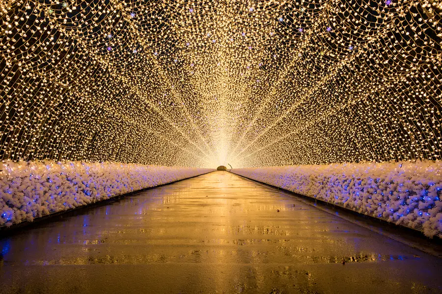 光の祭典「なばなの里イルミネーション」と日本最大級の商業リゾート”VISON”【JR高槻・枚方市・河内磐船発】1