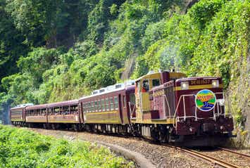 【群馬県内発】 春色のわたらせ渓谷鐡道　日帰り1