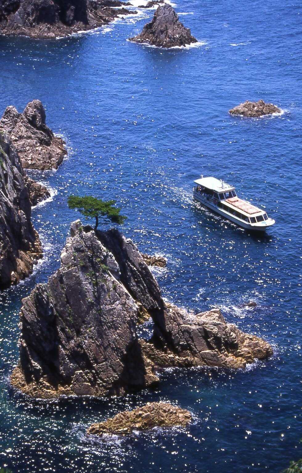 【兵庫県内発】 日本海鳥取海宝丼「モサエビ・白いか・境港サーモン」と 桜咲く！「鳥取城跡」＆世界ジオパーク「浦富海岸」クルーズ　日帰り1