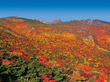 【ＪＲ和歌山駅発】 紅のじゅうたん！安達太良山の紅葉と南東北・錦秋絶景紀行　3日間