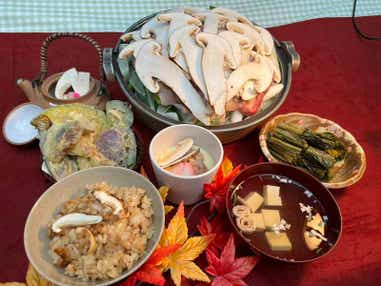 【東京駅・上野駅・大宮駅発】 本場信州松茸小屋で食す松茸づくし！樹齢250年奇跡の大樹「七色大カエデ」 信州の鎌倉「64年ぶりの北向観音御開帳」「生島足島神社」　日帰り