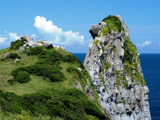 【お気軽・離島の旅】 福岡発［博多港］日帰りバスツアー　 これぞ壱岐な旅 贅沢・うに丼＆うに飯を食す! 壱岐島周遊と一支國博物館　 ≪今の時期限定！旨さぎっしり！ 壱岐の生うに≫♪2