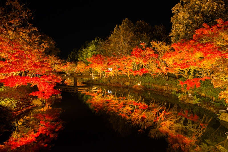 紅葉の伊勢神宮外宮・内宮両参りと香嵐渓となばなの里そして国宝・犬山城　３日間2