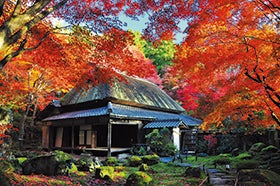 聖徳太子ゆかりの寺 教林坊「秋の特別公開」と旬の野菜を使ったフレンチレストラン2