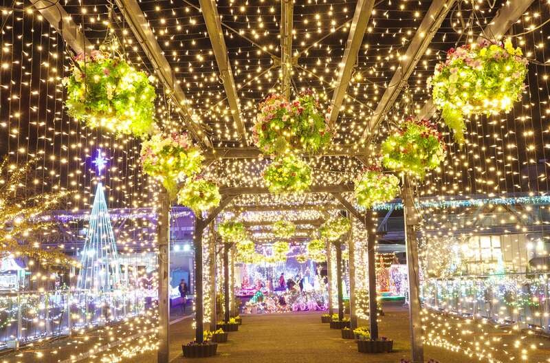 【益田・三隅・浜田・大田発】とっとり花回廊イルミネーションと紅葉の由志園 日帰り1