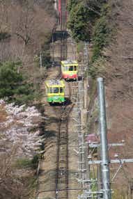 【新千歳空港発】 AIRで行く!春色の高尾山・秩父長瀞・小江戸川越散策と寳登山神社参拝3日間