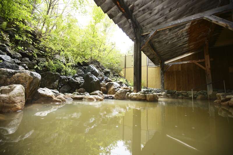 【ＪＲ和歌山駅発】 3つの絶景遊覧でめぐる！美食・美景・美湯癒しの秘湯・名湯ミステリーツアー3日間3