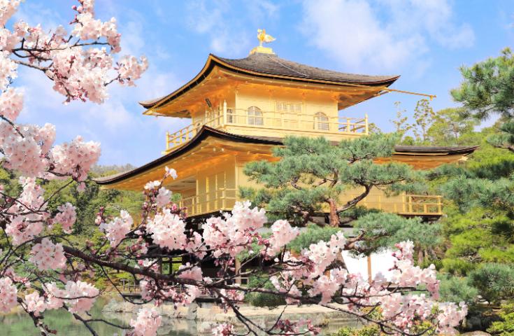 [難波発]京都・奈良日帰りツアー(神戸牛すき焼き鍋/英語ガイド付)1