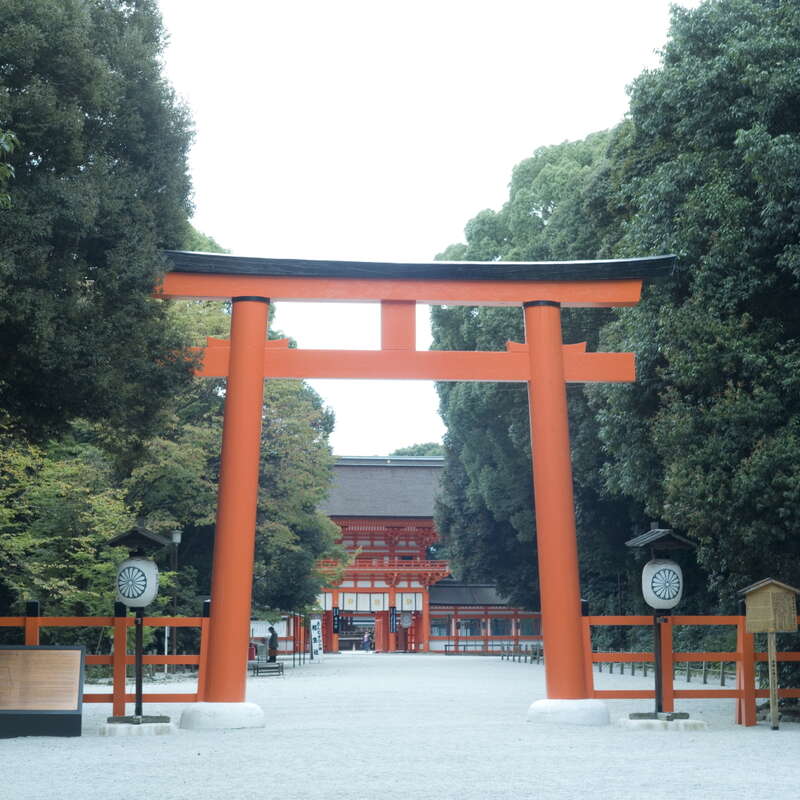 【和歌山県内発】 こんな旅してみたかった！新春おもてなしミステリーツアー　日帰り2