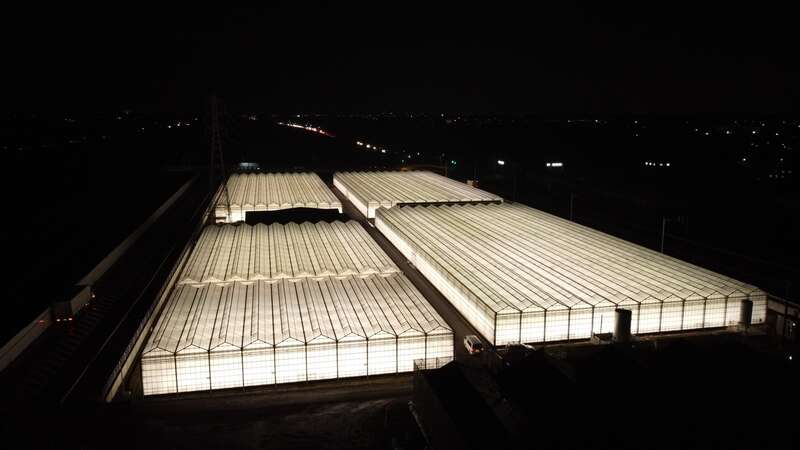 【松戸・西船橋発】＜WEB限定特別企画＞聖なる日クリスマスイブ発限定！ 夜の空中いちご狩り食べ放題と 幻想的ないばらきフラワーパークイルミネーション2