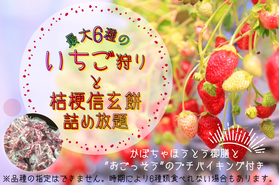 いちご狩り食べ比べと桔梗屋信玄餅詰め放題ツアー1