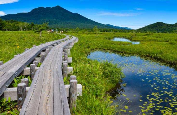 【夜発日帰り】[東京/新宿/大宮発]朝一番からたっぷり満喫！＜鳩待峠＞遥かなる尾瀬ハイキング日帰りバスツアー2