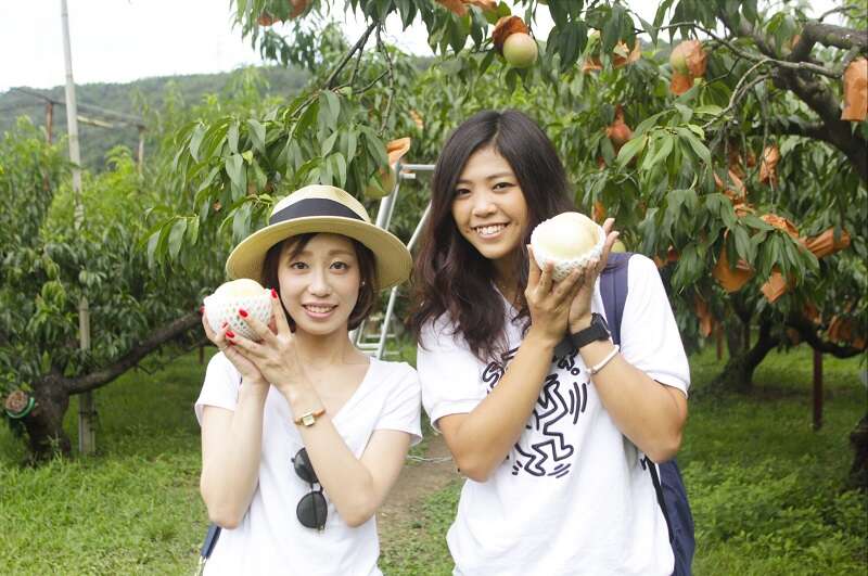 【ＪＲ京都駅前発】 岡山白桃お持ち帰り！おかやま白桃祭　日帰り3