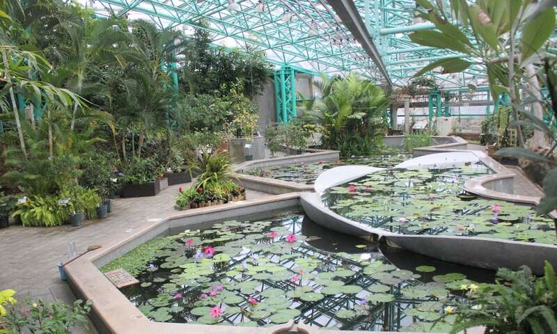 【京滋エリア発】 いけす活魚料理店で食す！活イカ造りと活あわび踊り焼き 生雲丹＆活うなぎ丼　海鮮＆近江牛グルメ会席と草津市立水生植物公園みずの森　日帰り3