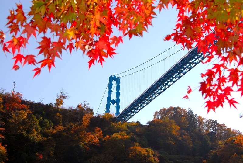 【山形県内発】 紅葉に染まる！日本三名爆「袋田の滝」・絶景「竜神峡大吊橋」と 鮮魚店直営「磯料理 田子」おまかせ海鮮膳のご昼食（日帰り）2
