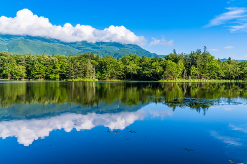 【山梨県内発】 北海道ぐるり周遊　感動の１５景と阿寒湖・層雲峡・定山渓温泉に泊まる４日間　十勝・摩周湖・硫黄山・知床・網走・旭山動物園・富良野・美瑛・小樽1