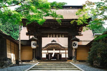 【早割キャンペーン中!10/7まで】名門大洋フェリーで行く 世界遺産高野山をめぐる旅🚢🚢フェリーで宿泊🚌宿泊バスツアー