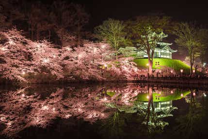 【東京駅・上野駅・大宮駅発】 日本三大夜桜＆信州名城めぐり 「高田城址公園観桜会ライトアップ・国宝　松本城・上田城跡公園」 ・さくら百選　臥竜公園・栗の街小布施・北国街道上柳町散策　２日間