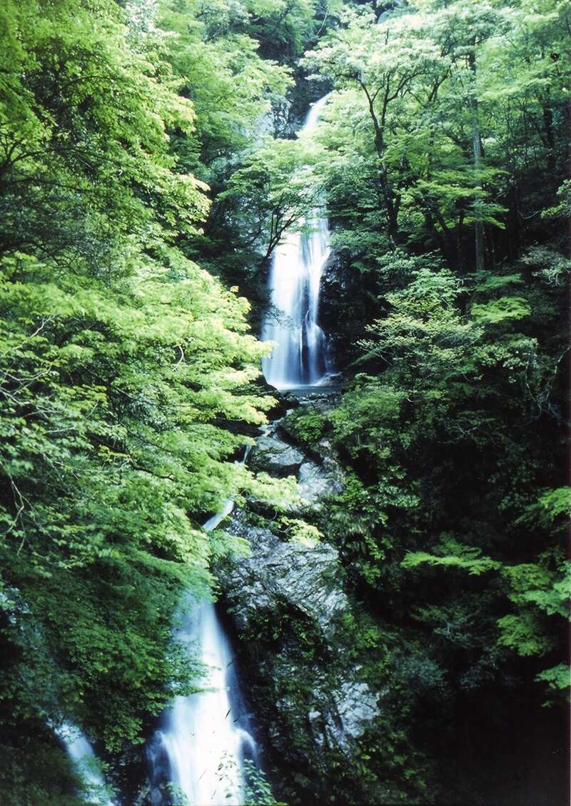 【和歌山県内発】 風、水、音、夏のこだわり納涼ミステリーツアー　日帰り1