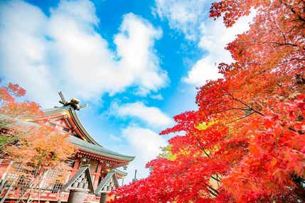 【千葉県内発】 往復ケーブルカーで行く日本遺産!紅葉の大山阿夫利神社下社詣り ガイド付きで邸内見学!偉人邸宅「旧吉田茂邸」 日帰り