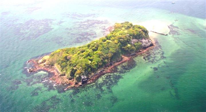 ＜新宿発・西船橋発＞ 真夏の大冒険！無人島・猿島探検ガイドツアー と 限定公開！専門ガイドとめぐる浦賀ドック　～名物！「横須賀海軍カレー」のランチ付き♪～1