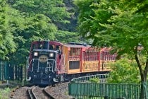 ◎WEB予約でリボンポイント２ポイント◎【多治見発】＊日帰り昼食付＊『京都　新緑の嵯峨野トロッコ列車と嵐山ごちそうビュッフェ』