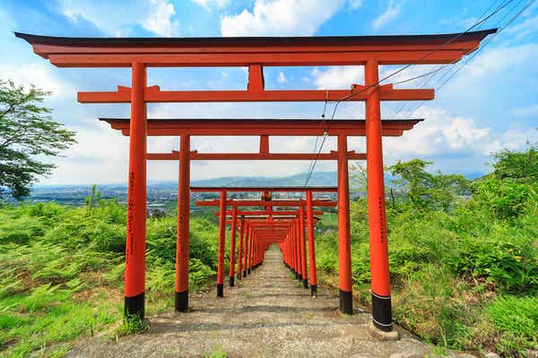 【防府・新山口発】ＢＩＧな巨峰狩り＆２房お持ち帰りと梨１玉お持ち帰り！フルーツ王国うきは 旬のくだもの祭　日帰り2