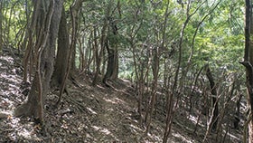 眉山縦走路1
