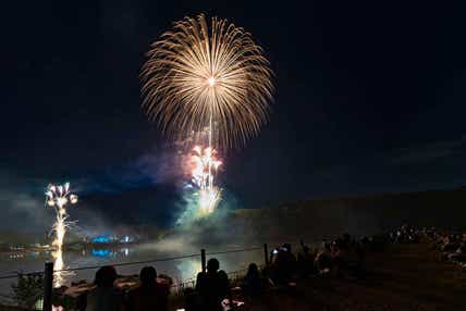 【県東・県北エリア発】 特別有料観覧エリアで鑑賞！ メッツァの北欧花火と ムーミンバレーパーク＆ディナービュッフェ　日帰り